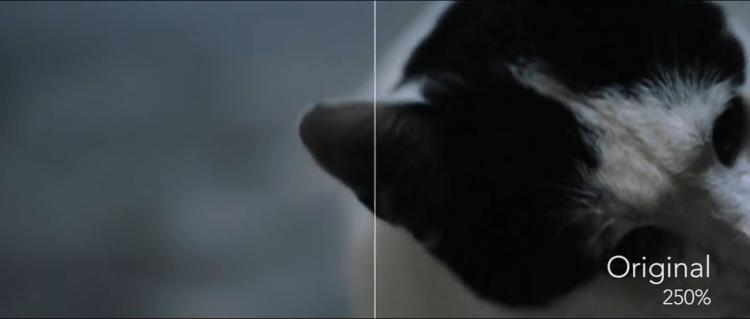 FCPX插件最新画面降噪 Neat Video