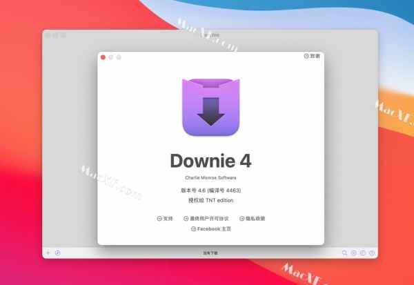 Downie 4 for Mac(视频下载工具)